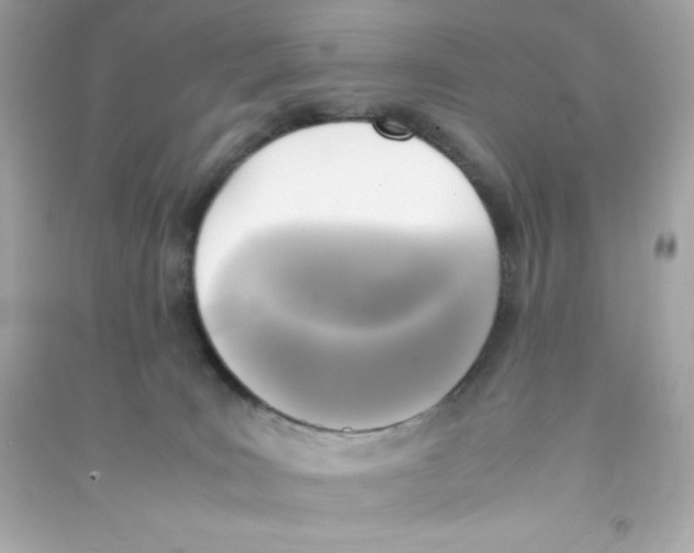 X0000090410035200708101929