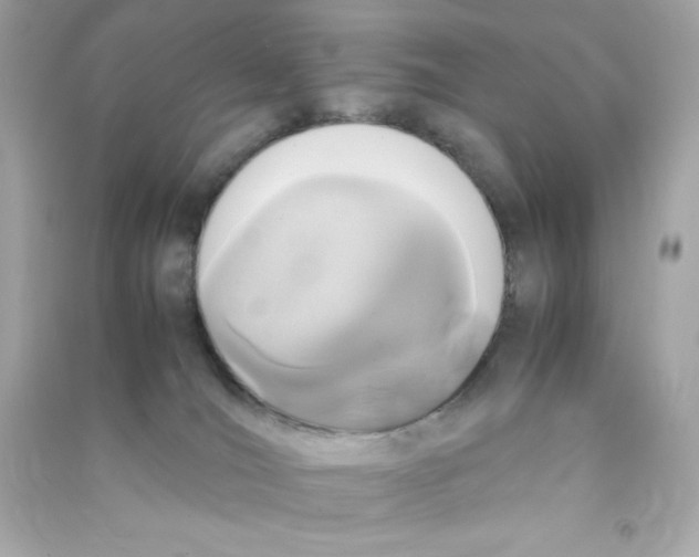 X0000090410036200708101929