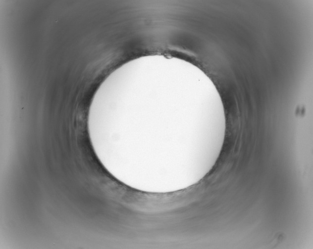 X0000090410037200708101929