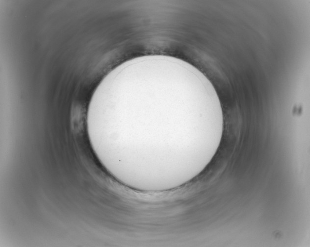 X0000090410038200708101929