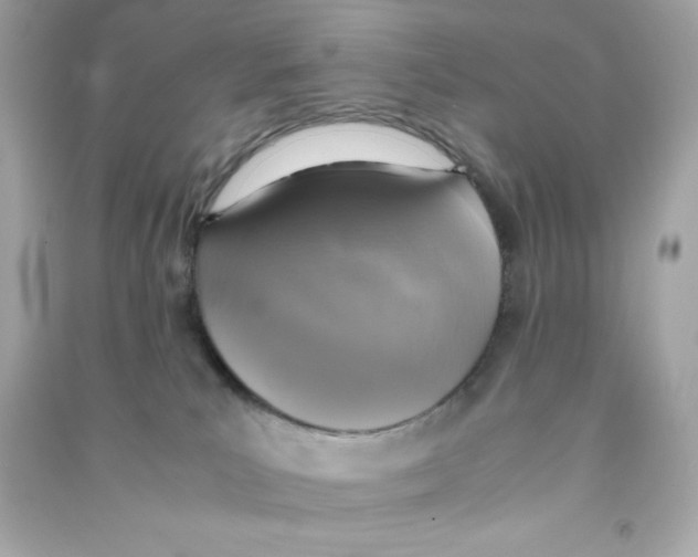 X0000090410039200708101929