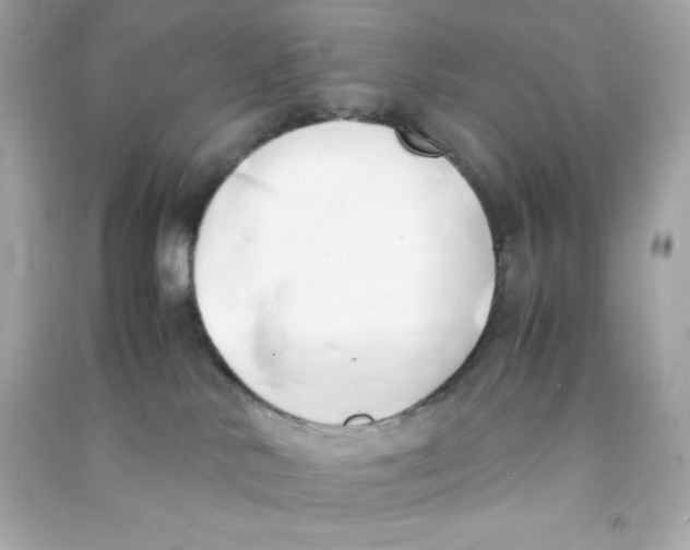 X0000090410042200708101929