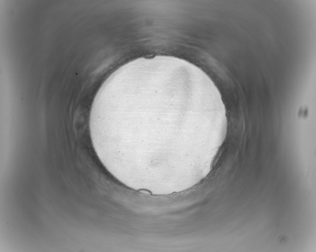 X0000090410043200708101929