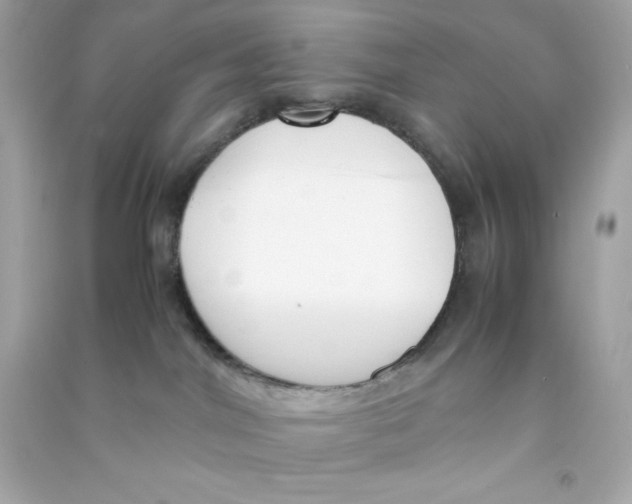 X0000090410044200708101929