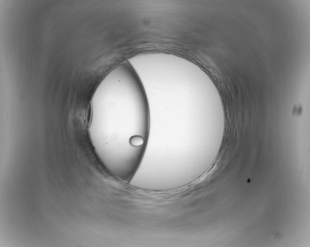 X0000090410045200708101929