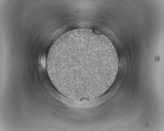 X0000090410046200708101929