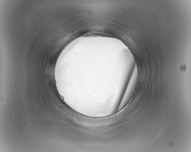 X0000090410047200708101929