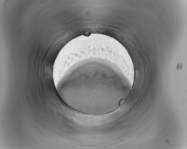 X0000090410048200708101929