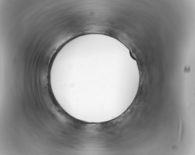 X0000090410050200708101929