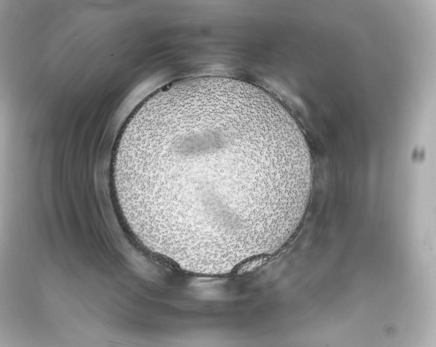 X0000090410051200708101929