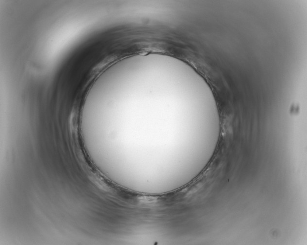 X0000090410052200708101929