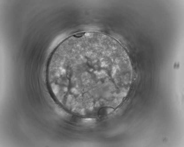 X0000090410053200708101929