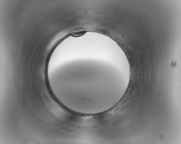 X0000090410054200708101929