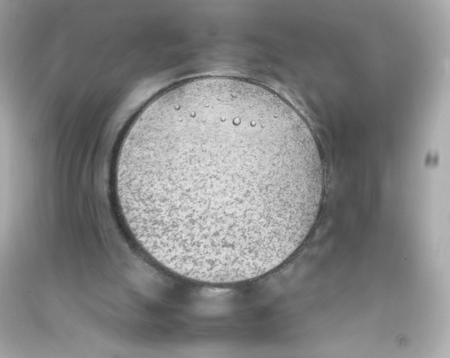 X0000090410055200708101929