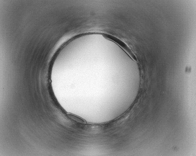 X0000090410056200708101929