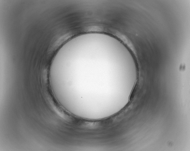 X0000090410057200708101929