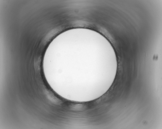 X0000090410058200708101929