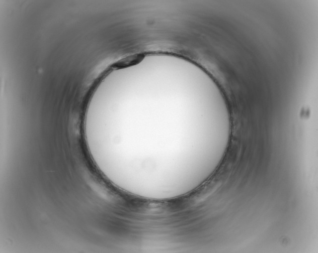 X0000090410060200708101929