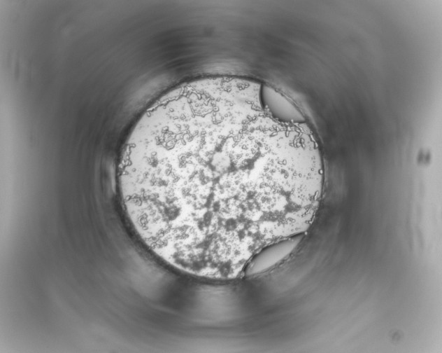 X0000090410061200708101929