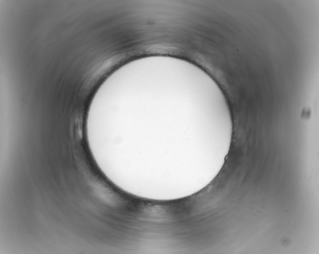 X0000090410062200708101929