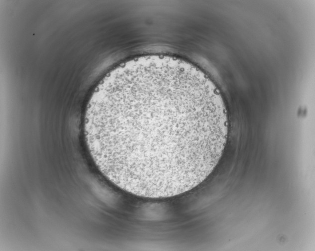 X0000090410063200708101929