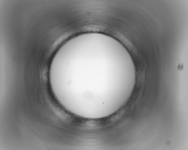 X0000090410064200708101929