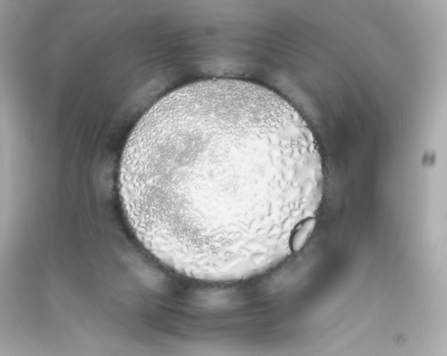 X0000090410065200708101929