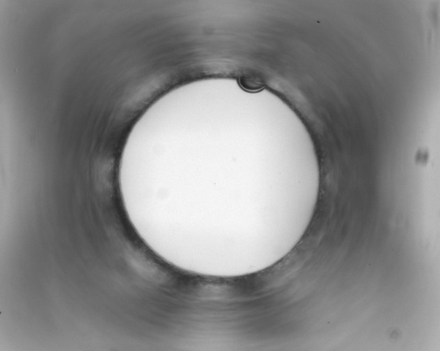 X0000090410066200708101929