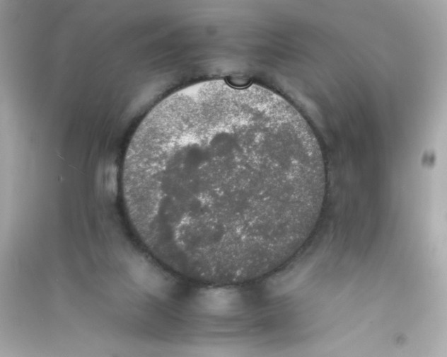 X0000090410067200708101929