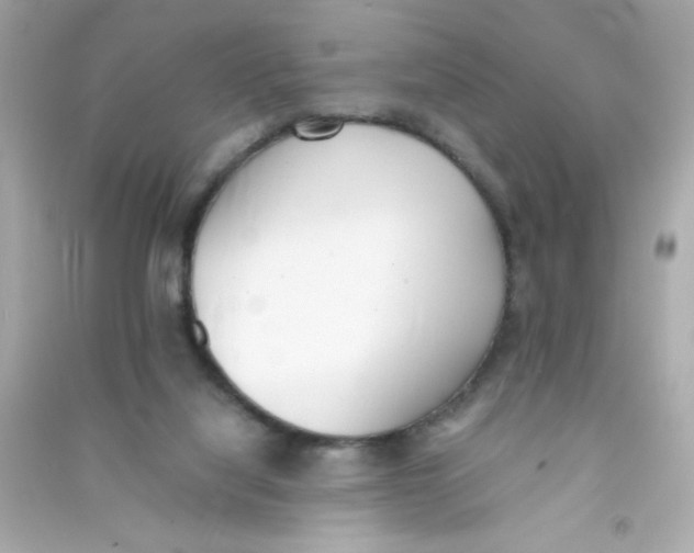 X0000090410068200708101929