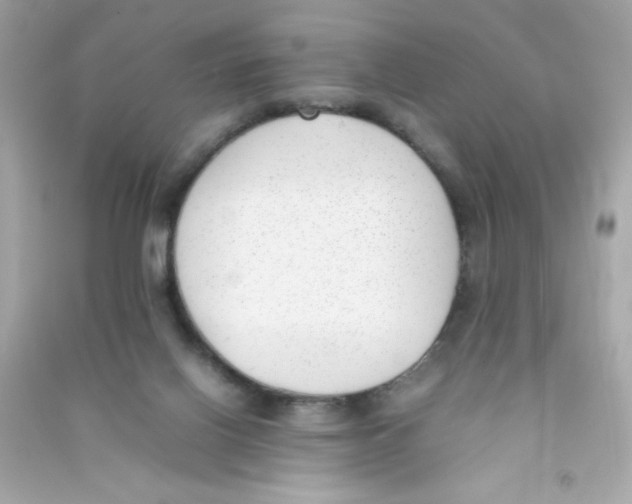 X0000090410070200708101929