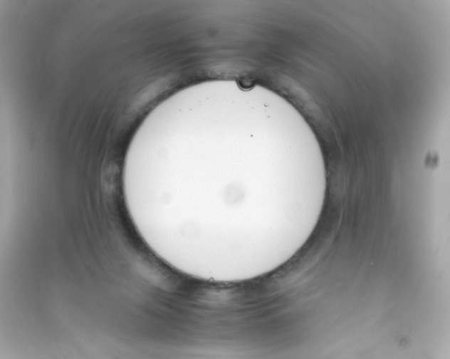 X0000090410071200708101929