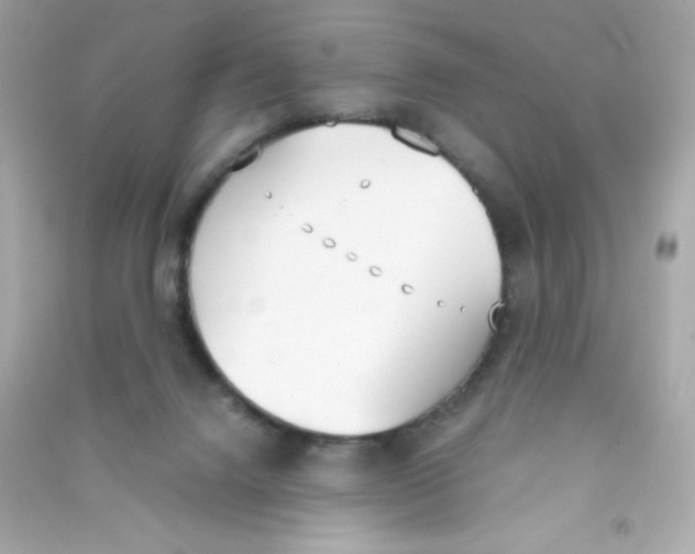 X0000090410072200708101929