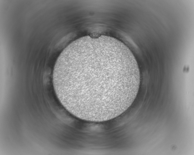 X0000090410073200708101929