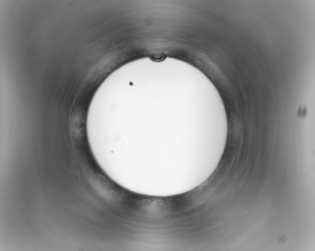 X0000090410074200708101929