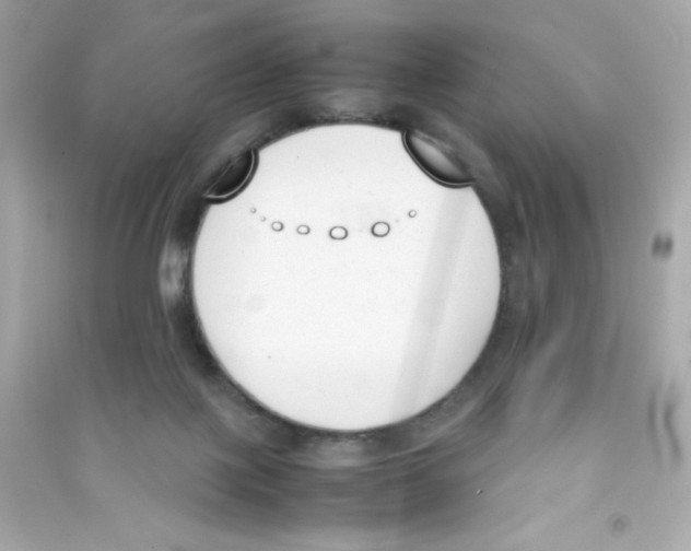 X0000090410075200708101929