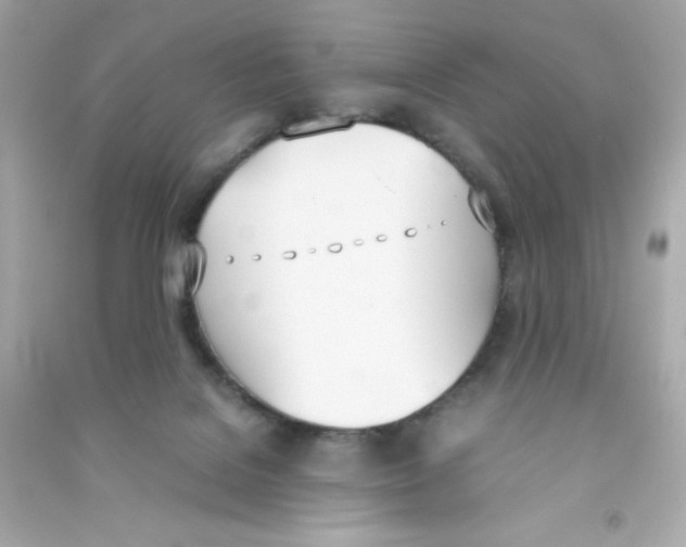 X0000090410076200708101929