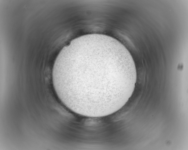 X0000090410077200708101929