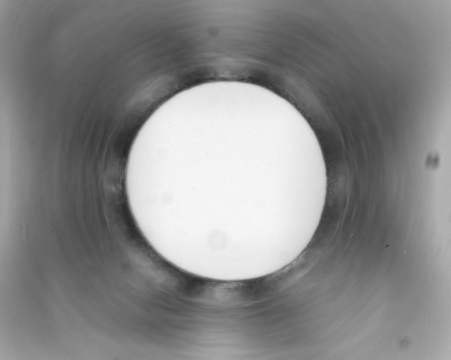 X0000090410078200708101929