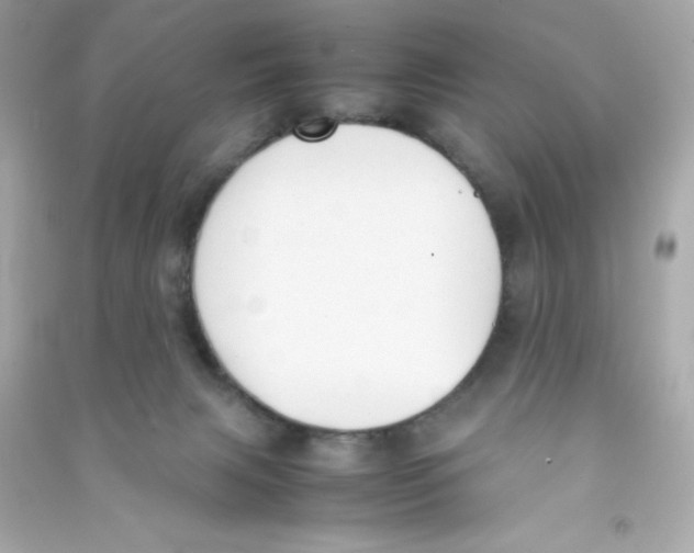 X0000090410079200708101929