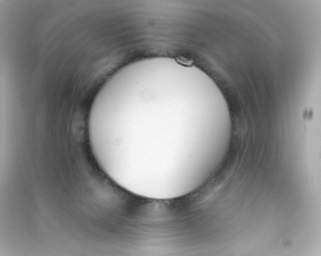 X0000090410080200708101929