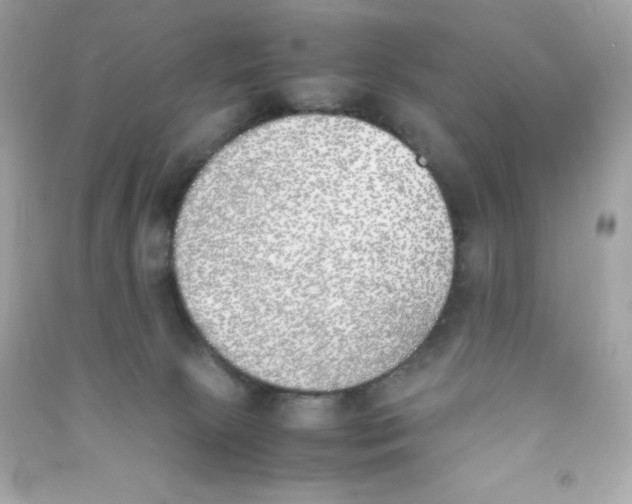 X0000090410081200708101929