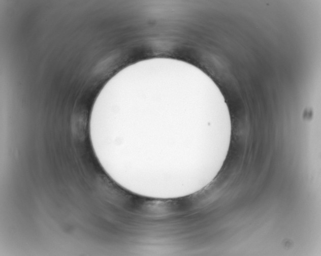 X0000090410082200708101929