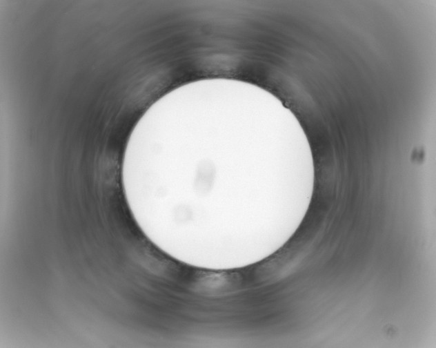 X0000090410083200708101929