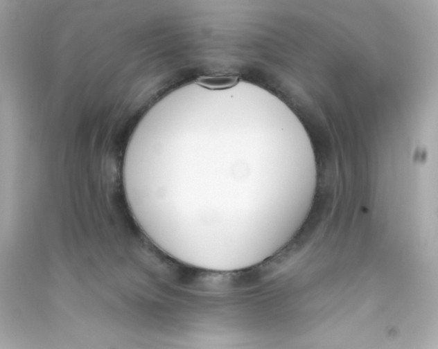 X0000090410084200708101929