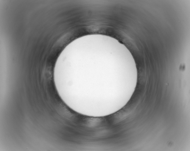 X0000090410085200708101929