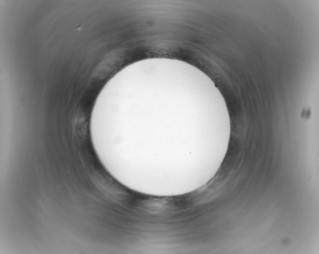 X0000090410086200708101929