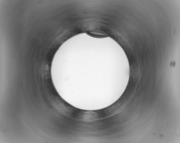 X0000090410087200708101929