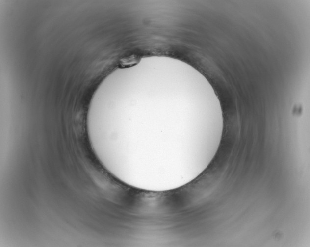 X0000090410088200708101929