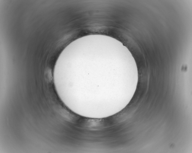 X0000090410089200708101929